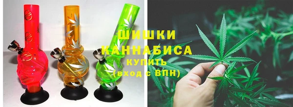 прущая мука Нея