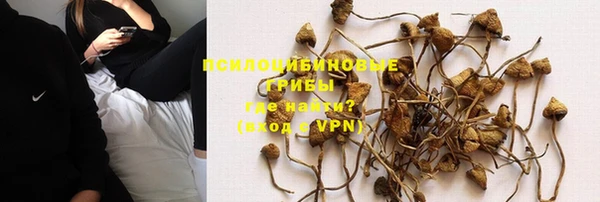 ECSTASY Нефтекумск