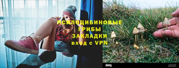 прущая мука Нея